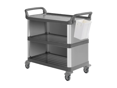 SILVER SERVIC